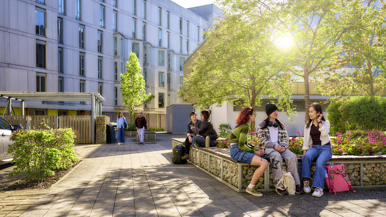 UEA rises in national rankings in the Daily Mail University Guide 2027