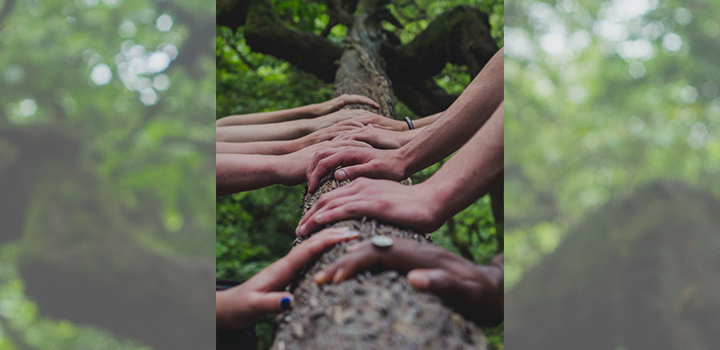 Mindfulness course addressing student eco-anxieties set to return to UEA campus