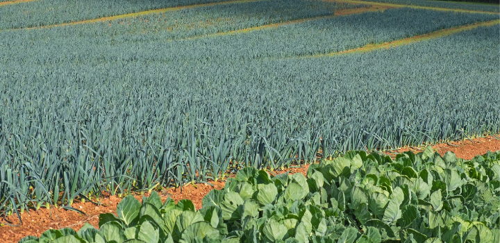 UK food needs radical transformation on scale not seen since Second World War