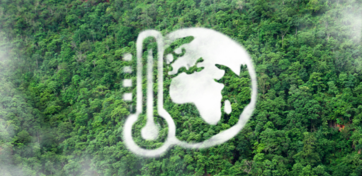 An image of a world and a thermometer placed on top of a green and luscious forest