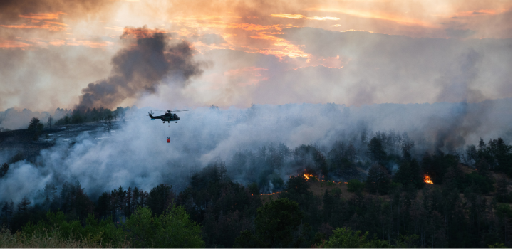 BeZero partners with the State of Wildfires Project to analyse global wildfire risk