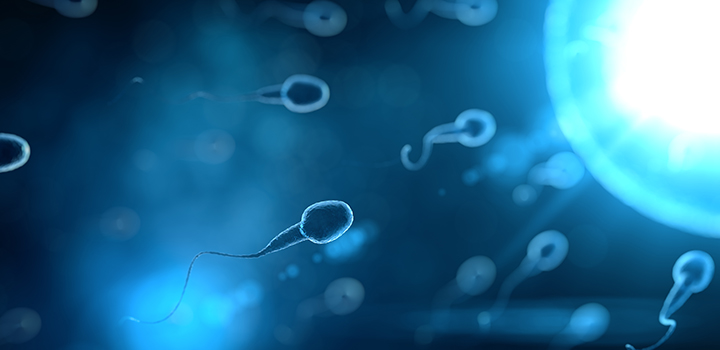 An image of sperm approaching an egg