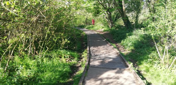 Popular UEA boardwalk on track for extensive revamp