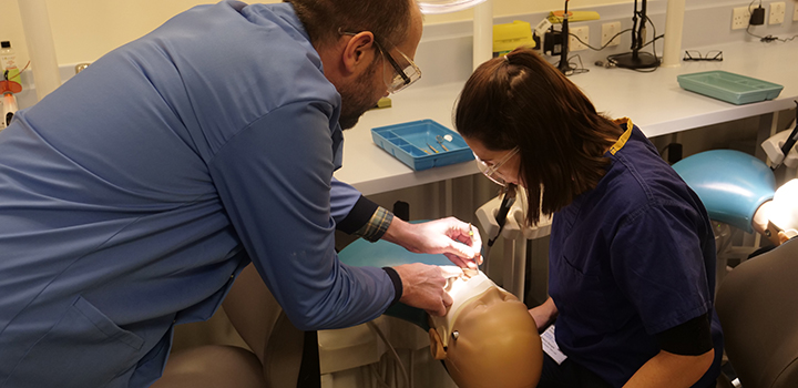 Two technicians performing dental work on a phantom head