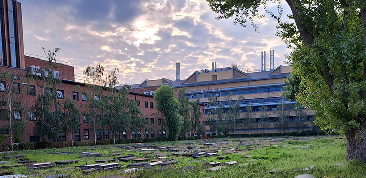 Jewish cemetery Queen Mary University