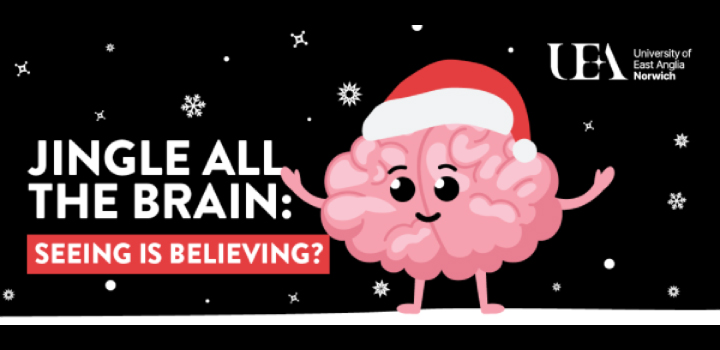 A graphic of a brain wearing a red festive hat, with the words 'JINGLE ALL THE BRAIN, SEEING IS BELIEVING?'