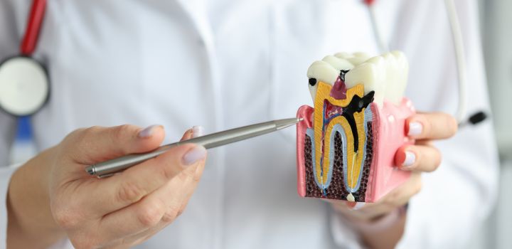 Applications open for region’s first undergraduate training places for dentists