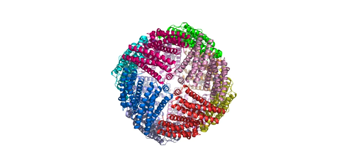 A graphic photo of a sphere of proteins in colours such as blue, green, yellow, purple and red