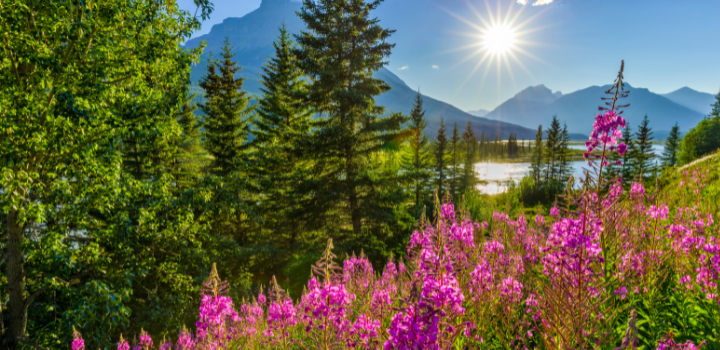 New analysis of climate threats to biodiversity will help conservationists plan for future