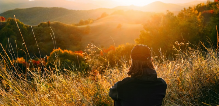 New study reveals phone-free holiday can provide wellbeing reset