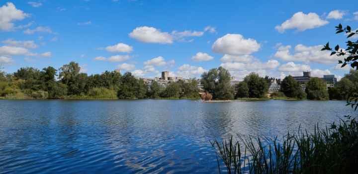 UEA rises to top 10 for reducing inequality in global league table