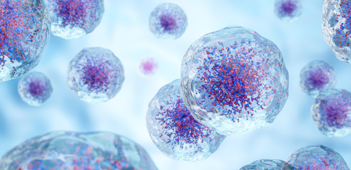 Scientists discover ‘hidden switch’ in immune cells that helps the body kill deadly fungus