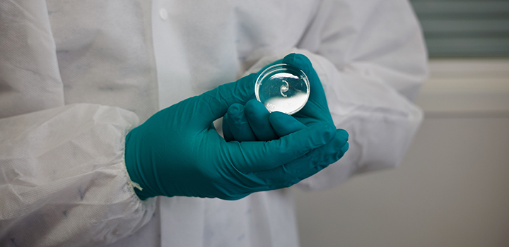 An artificial intraocular lens (IOL).