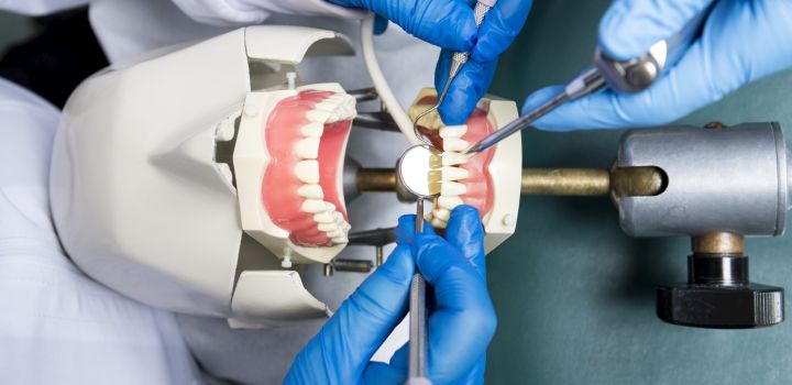 A picture from above of a phantom head used for dentistry training, with two pairs of hands using implements to simulate a dental check up.