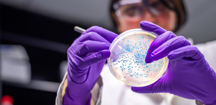 A petri dish filled with blue dots being examined by a person wearing purple gloves and blurred in the background