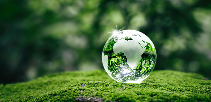 UEA nominates environmental solutions for The Earthshot Prize