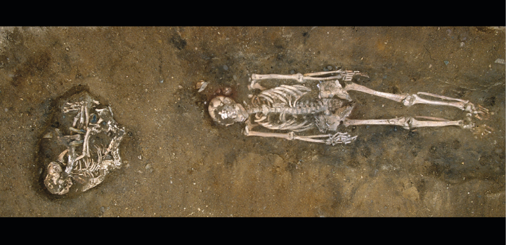 Ancient DNA reveals identity of Europe’s earliest dogs