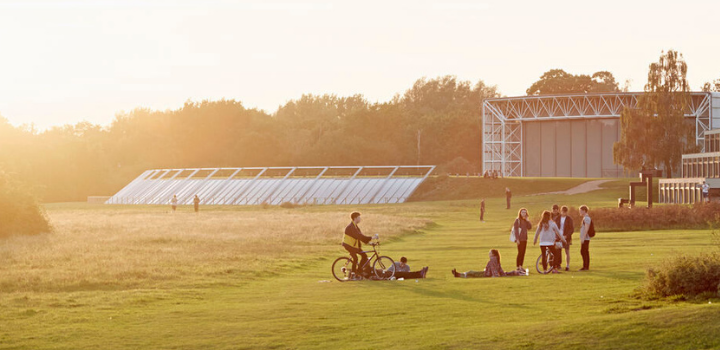UEA in 2025: Our year in stories