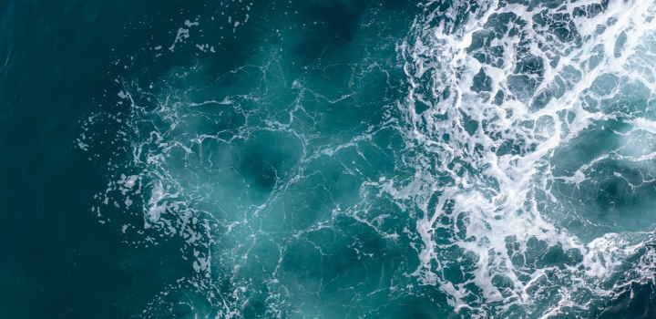 UN report urges investment in Ocean Carbon Intelligence to safeguard the ocean's climate role