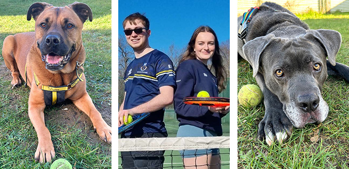 Two dogs and two people