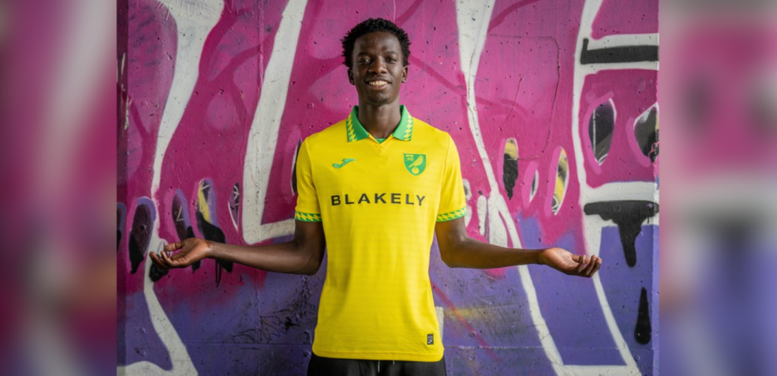 Professional footballer Papa Amadou Diallo