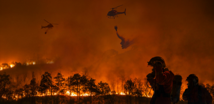 Record damages from wildfires in 2025, despite global area burned among lowest