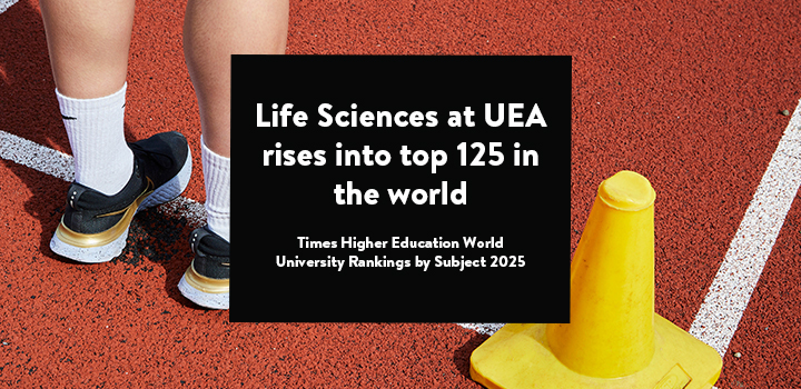 A person on a running track