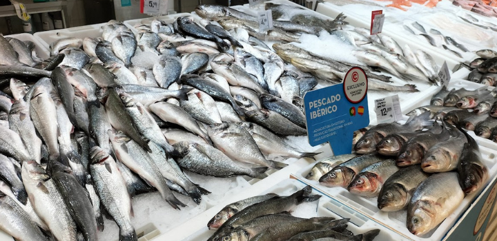 A photo of fish on the market, all laid out on ice