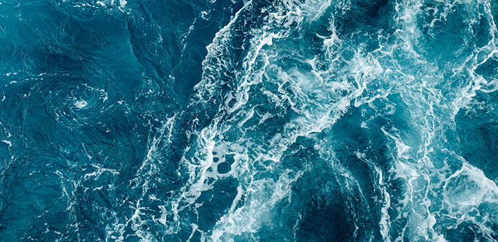 Climate change coping mechanism discovered in humble algae