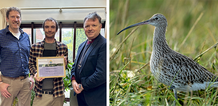 UEA graduate wins ecology prize for curlew conservation