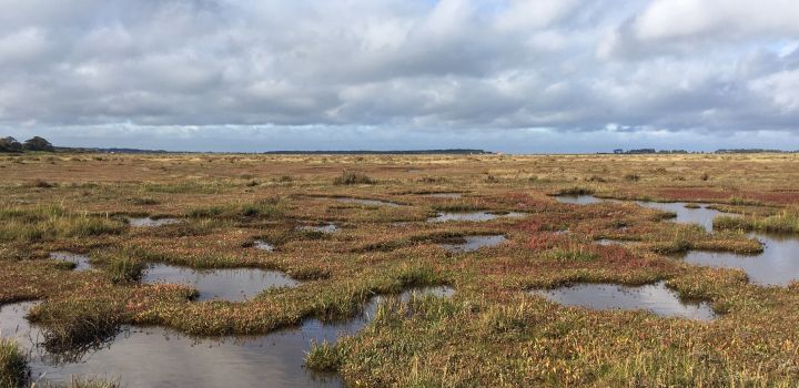 Landscape shows saltmarsh in North Norfolk with cloudy sky