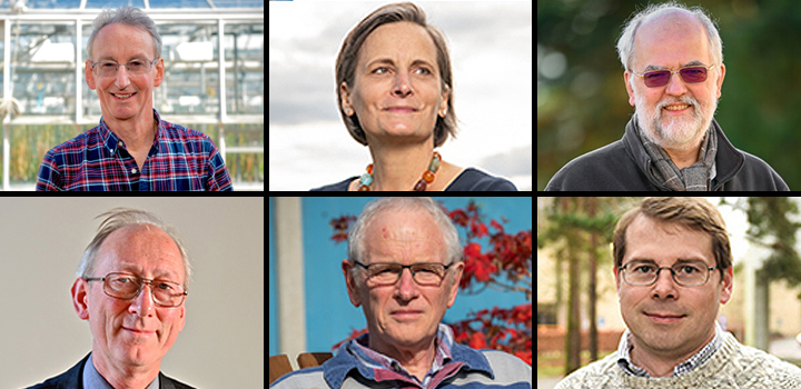 Clockwise from top left: Prof Jonathan Jones, Prof Corinne Le Quéré, Prof Paul Hunter, Prof Timothy Osborn, Prof Phil Jones, Prof David Livermore