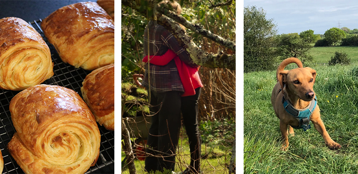 Left to right: Pain au chocolats on a wire rack; a couple in coats embracing in a forest; a brown dog in a field