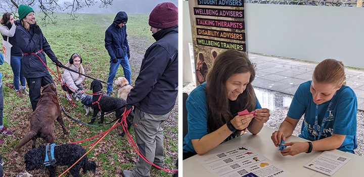 Left picture: students walking dogs on leads; Right picture: students taking part in craft activities
