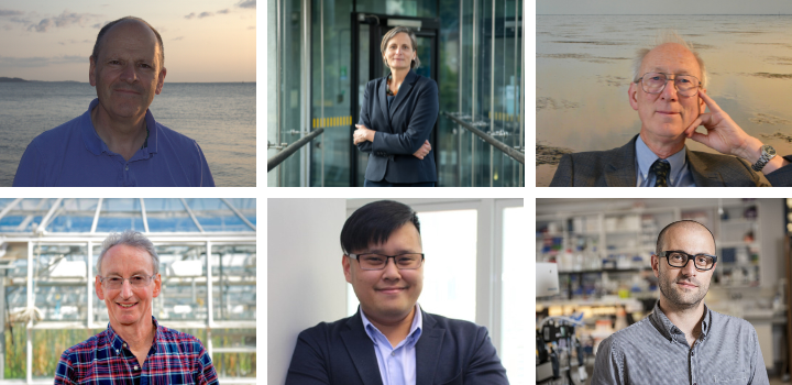 UEA researchers named among world’s most influential for 2025