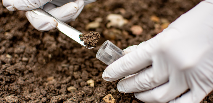 A test tube being filled with soil and white gloves