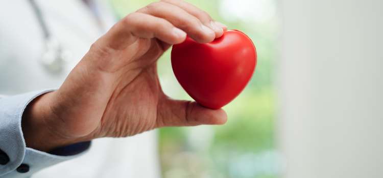 A doctor holds a small red model of a heart (not anatomically correct).