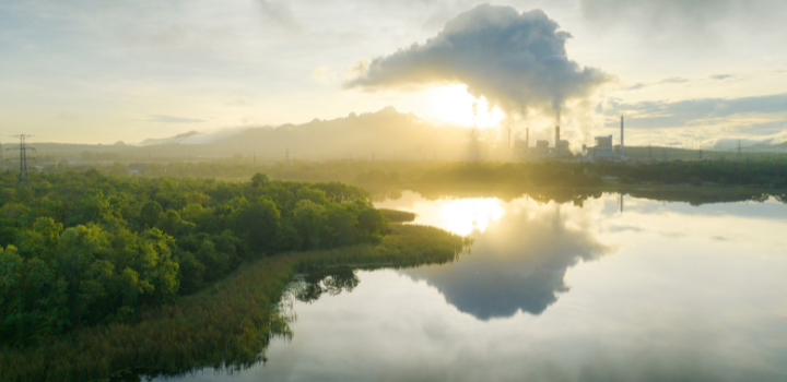 Land-intensive carbon removal needs better siting to protect biodiversity