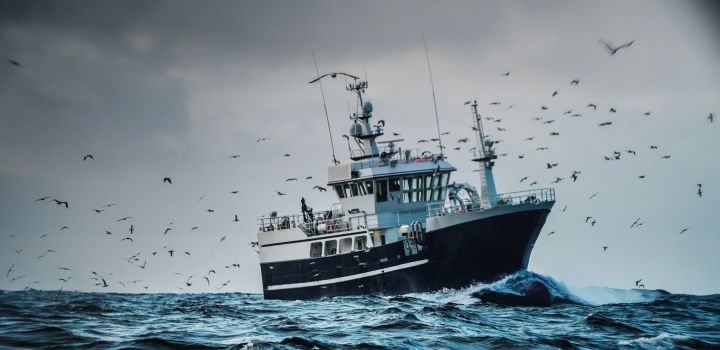 A fishing boat in the ocean with many birds flying around it
