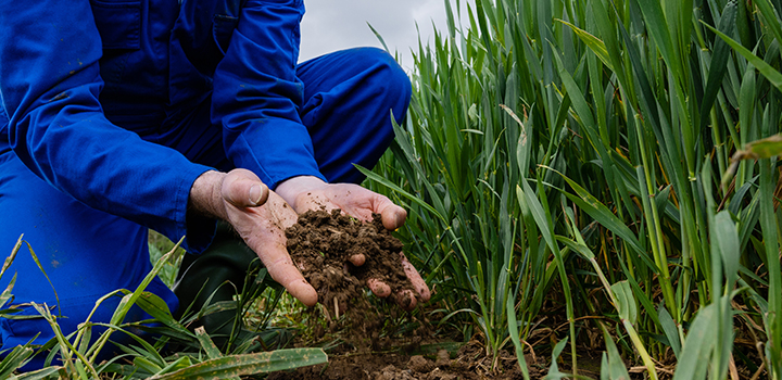 Shine wears off the European Green Deal as the bloc shifts right