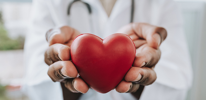 A medical professional in a white coat holds out a red model heart.