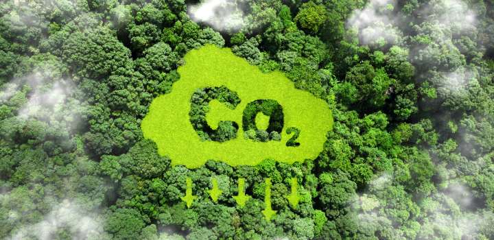 Governments and businesses are relying on dangerous amounts of future removal of carbon dioxide (CO2) from the atmosphere, instead of more rapidly reducing emissions and phasing out fossil fuels.