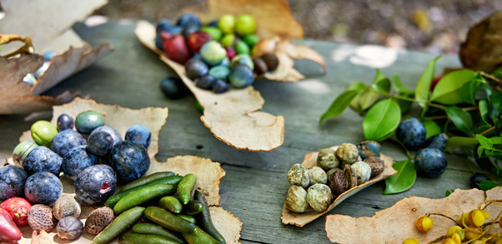 Indigenous knowledge key to building healthier and more sustainable food systems