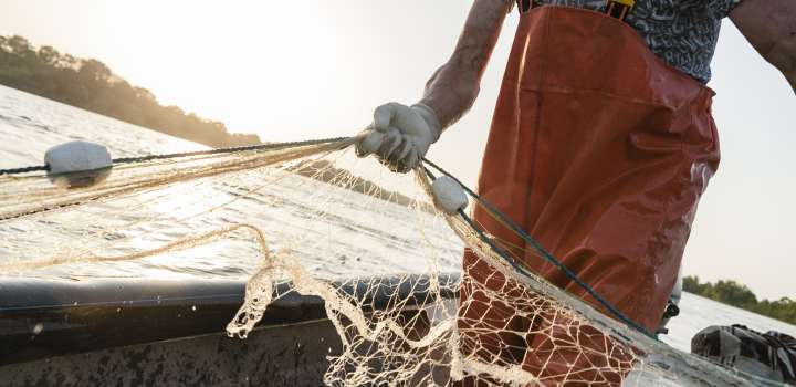 Strong trust between managers and fishers is essential for achieving sustainable fisheries