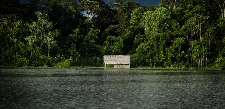 Amazonian protected areas benefit both people and biodiversity