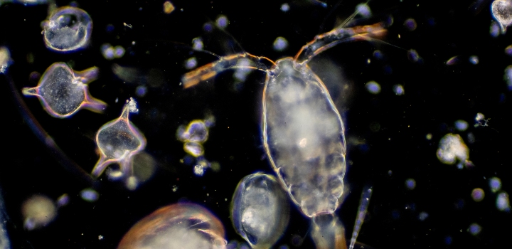 Ambitious research to study fundamental earth and environmental science questions