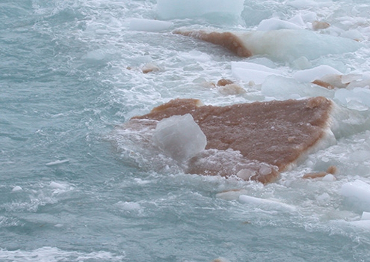 Breakthrough in unlocking genetic potential of ocean microbes