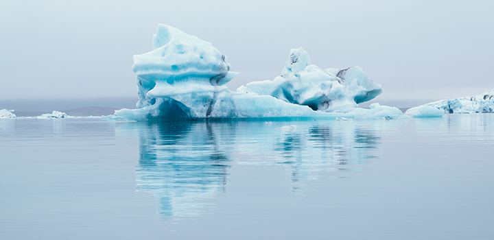 Climate change driving changes of plankton in our ocean
