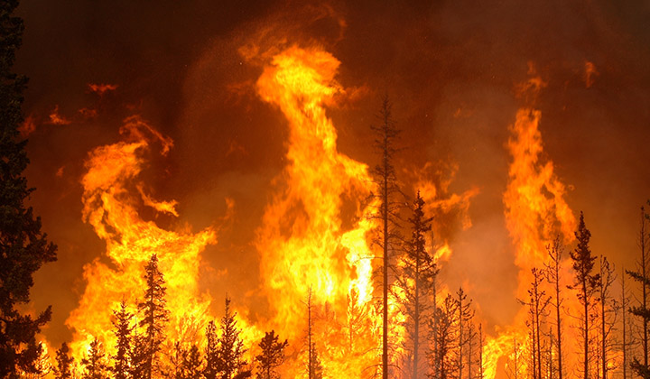 Climate change increases the risk of wildfires confirms new review