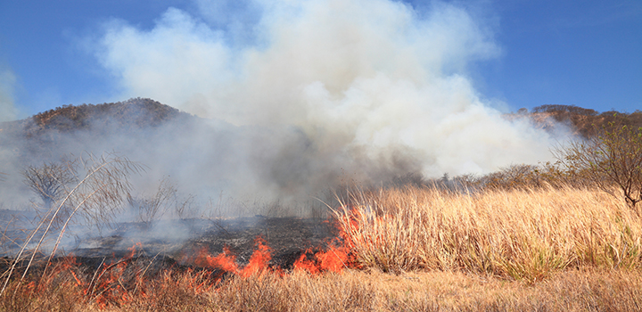 Closing in on the carbon costs of wildfires